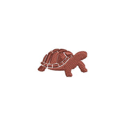Box Turtle - Box Turtle OSFM