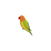 Tropical Lovebird - Tropical Lovebird OSFM