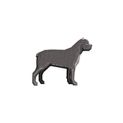 Cane Corso - Cane Corso OSFM