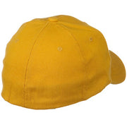 Low Profile Washed Flex Cap