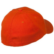 Low Profile Washed Flex Cap