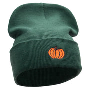 Autumn Pumpkin Embroidered 12 Inch Long Knitted Beanie