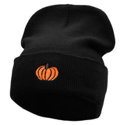 Autumn Pumpkin Embroidered 12 Inch Long Knitted Beanie