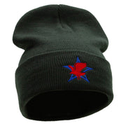 Patriotic Eagle Star Embroidered 12 Inch Long Knitted Beanie