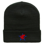 Patriotic Eagle Star Embroidered 12 Inch Long Knitted Beanie