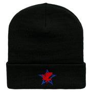 Patriotic Eagle Star Embroidered 12 Inch Long Knitted Beanie