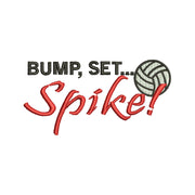 Bump Set Spike Volleyball