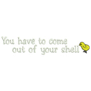 Come out of Shell