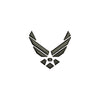 3D Air Force Silver Symbol