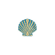 Seashell