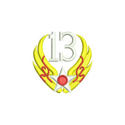 13th Air Force Badge