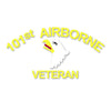 101st Airbone Veteran