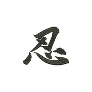 Chinese Character Patience