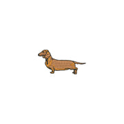 Dachshund Dog