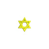 Jewish Star of David Icon