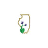 Illinois Violet with Map