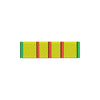 Vietnam Service Ribbon