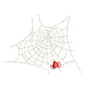 Spider Web Logo