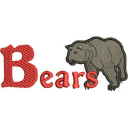 Bear Mascot