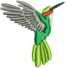 Humming Bird