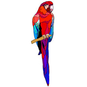 Macaw