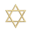 Star of David Logo