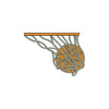 Basketball in Net