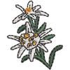 Switzerland Edelweiss Flower digitized embroidery design