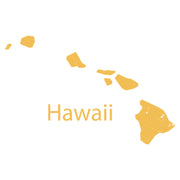 Gold Vintage Hawaii Map