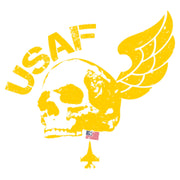 Gold USAF Winged Skull