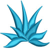 Blue Agave