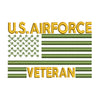 US Airforce Veteran Logo