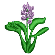 Water Hyacinth digitized embroidery design