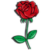 Rose of Love