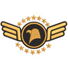 Airforce Eagle Badge