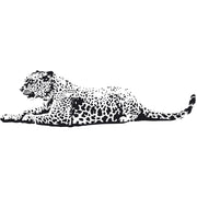 Leopard Monochrome