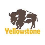 Yellowstone Park Buffalo