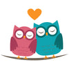 Owl Love