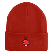Lady Bug Iron on Patched 12 Inch Long Knitted Beanie - Rust OSFM