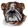 English Bulldog Head Iron on Patch