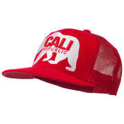 California Bear Trucker Snapback Cap