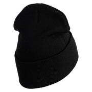 Cute Hedgehog with Ladybug Embroidered Iron On Patched 12 Inch Long Knitted Beanie - Black OSFM
