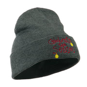 Celebrate the Season with Ornaments Embroidered Beanie