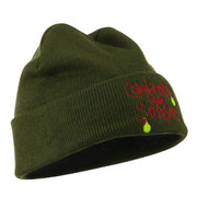 Celebrate the Season with Ornaments Embroidered Beanie