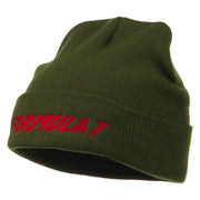 Auto Racing Formula 1 Embroidered Long Beanie