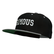 Famous Embroidered Two Tone Snapback Cap