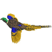 Pheasant