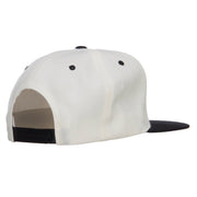 Texas Embroidered Two Tone Snapback Cap