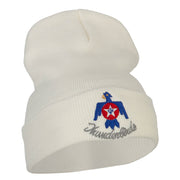 US Air Force Thunderbirds Embroidered Long Knitted Beanie