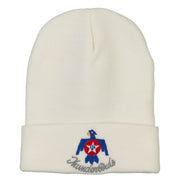 US Air Force Thunderbirds Embroidered Long Knitted Beanie